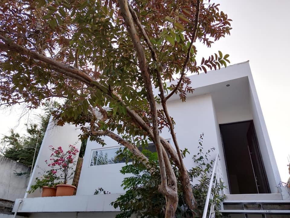 Casa Mango 3 Amplio Departamento Βίλα Río Verde Εξωτερικό φωτογραφία